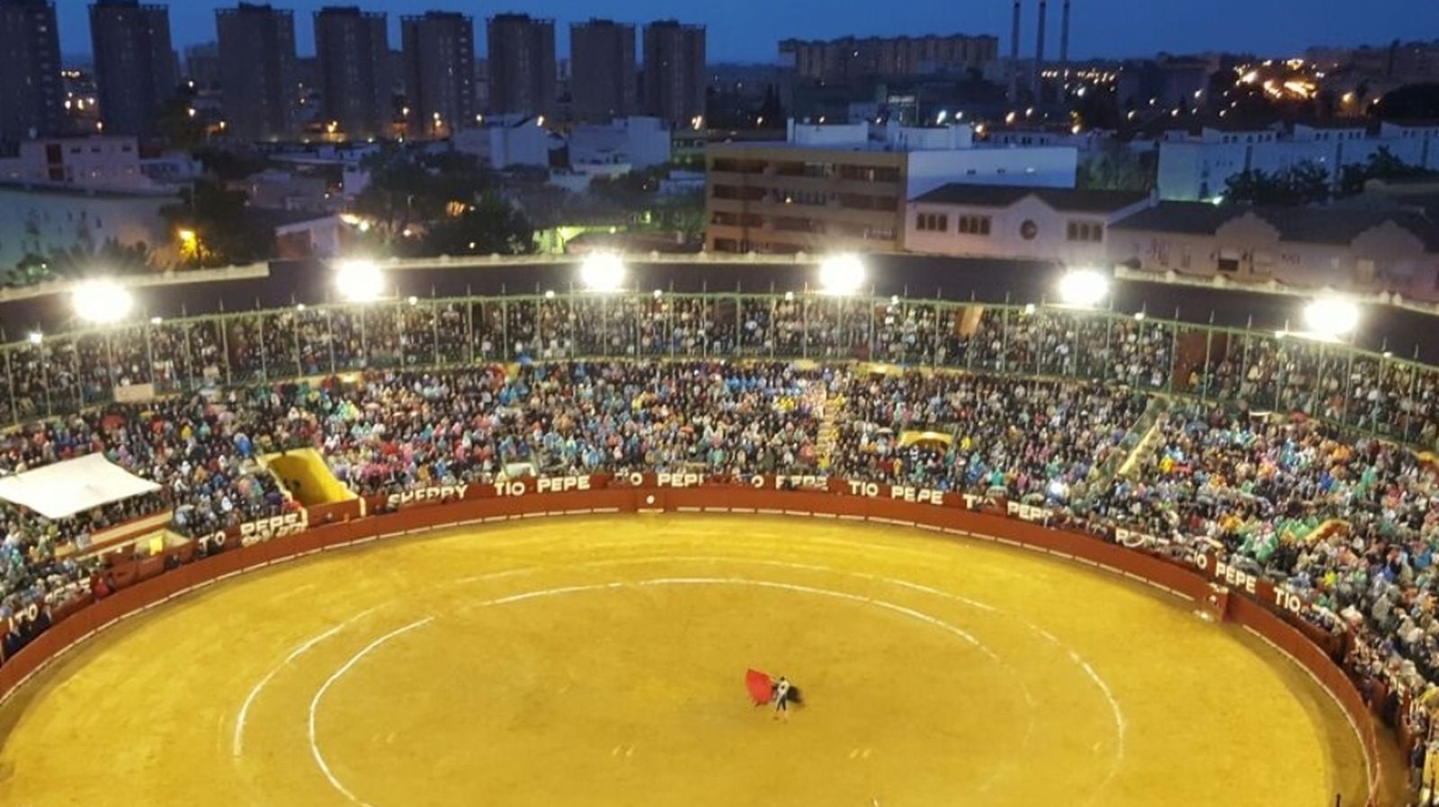 Toros para todos