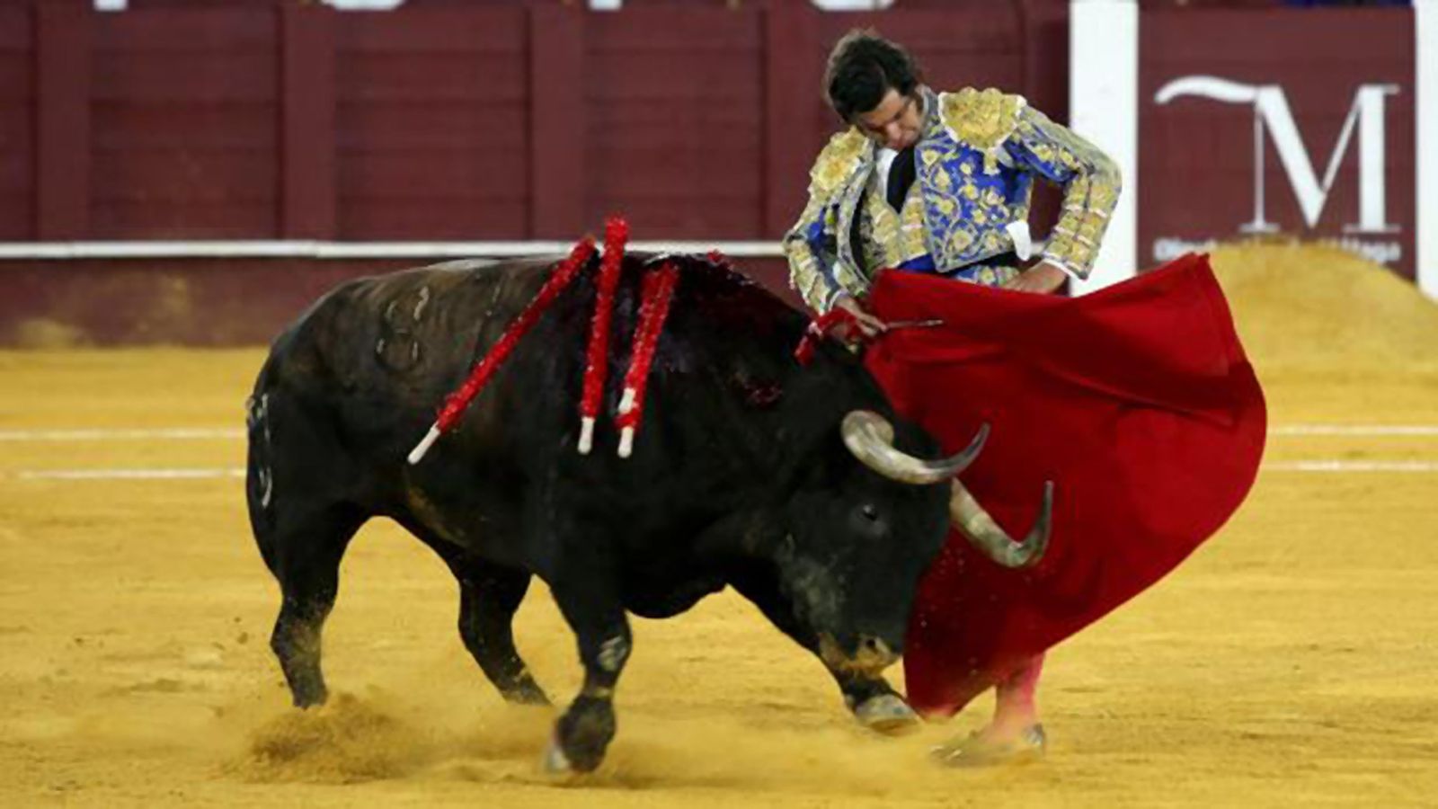 Comunicación Toros para Todos Foto