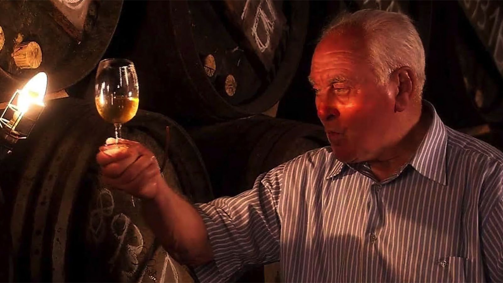 Documental Catdrales del vino