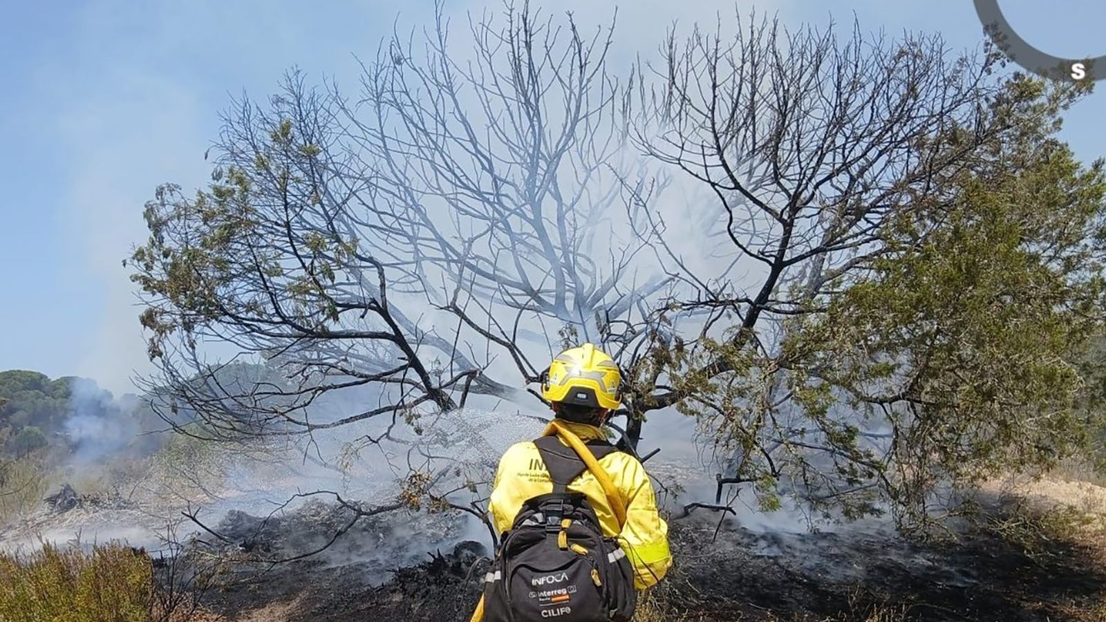 Efectivos del INFOCA desplegados en Doñana desde el domingo