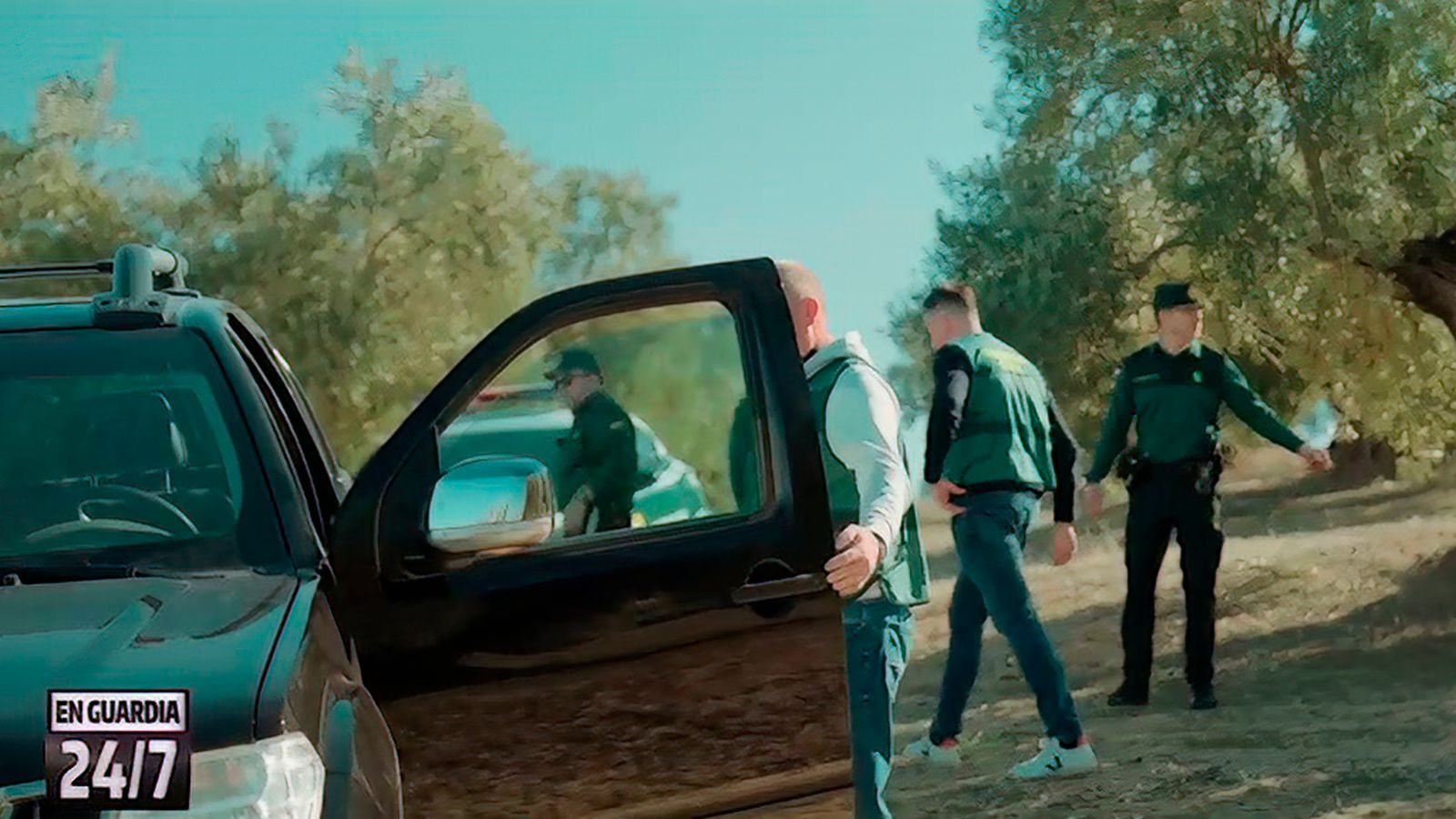 Así actúa el equipo Roca de la Guardia Civil contra los ladrones de aceitunas