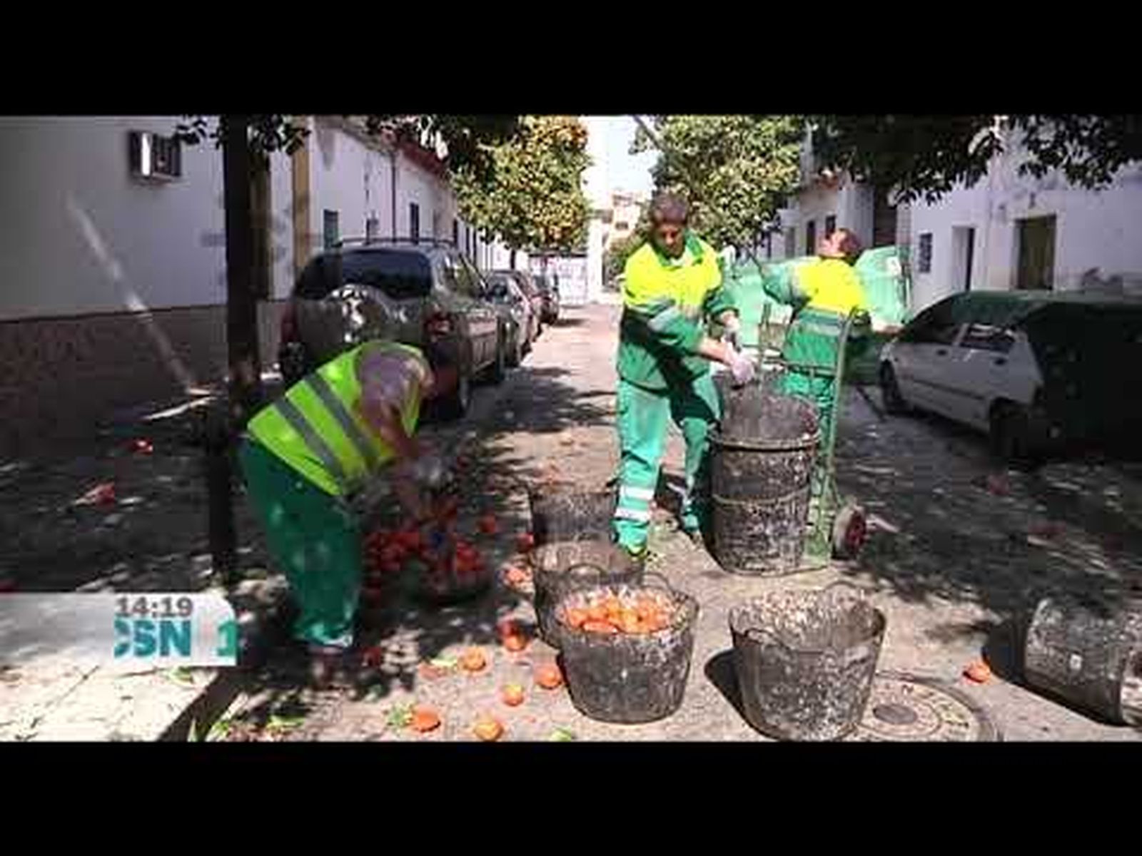 Naranjas amargas en las calles de Sevilla