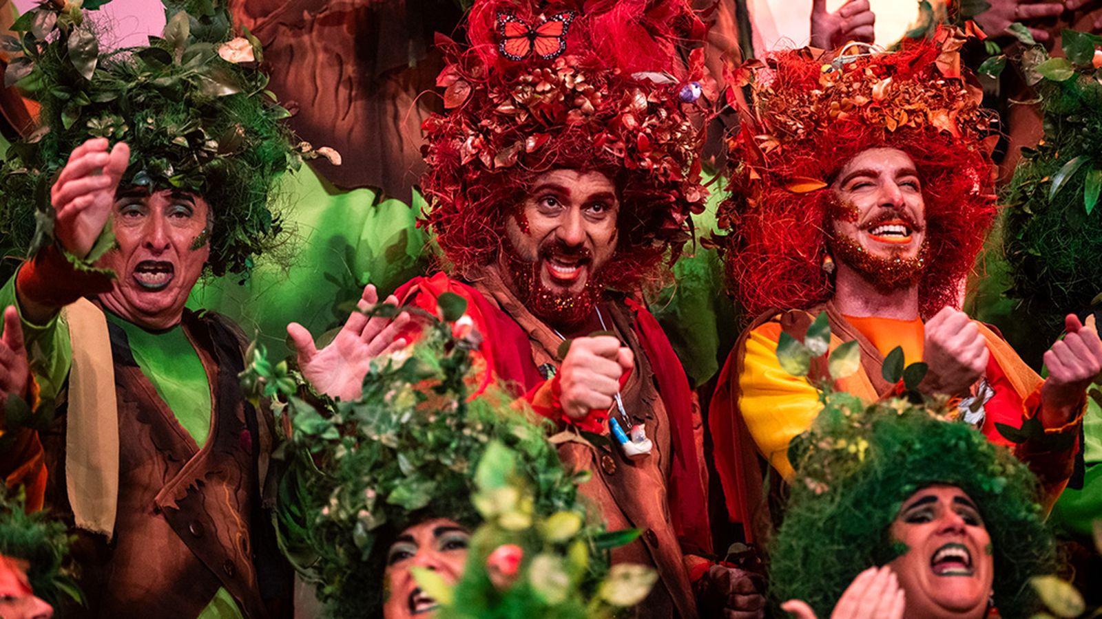 Carnaval de Cádiz Coro Ley natura Cuartos