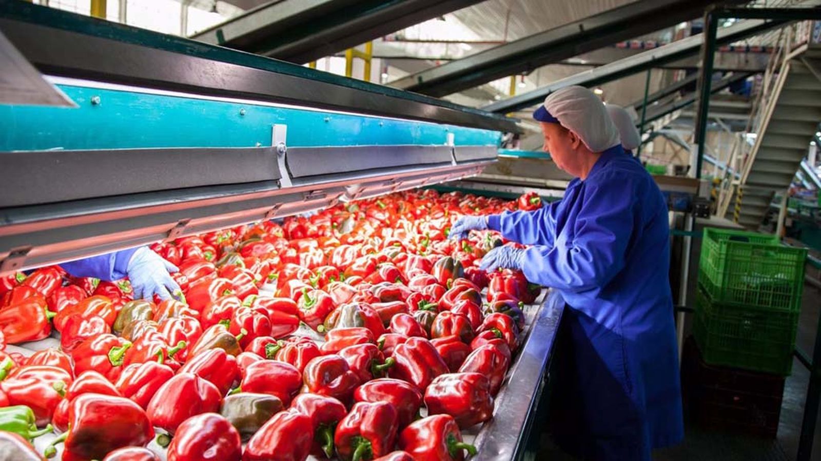 N1_TAPA_EXPORTACIONES