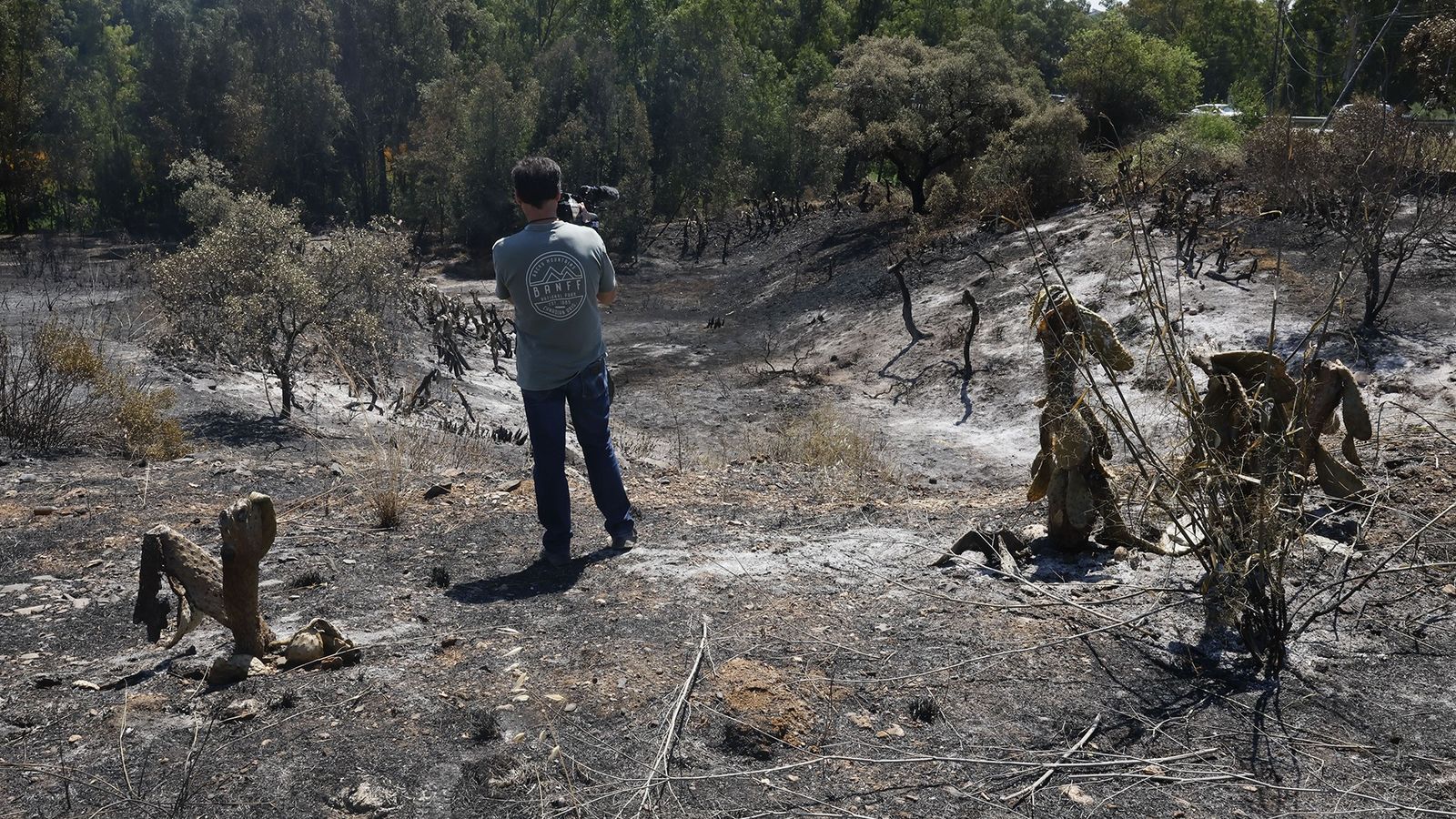 'El incendio es un torpedo para el Andévalo, que necesita el mayor apoyo'