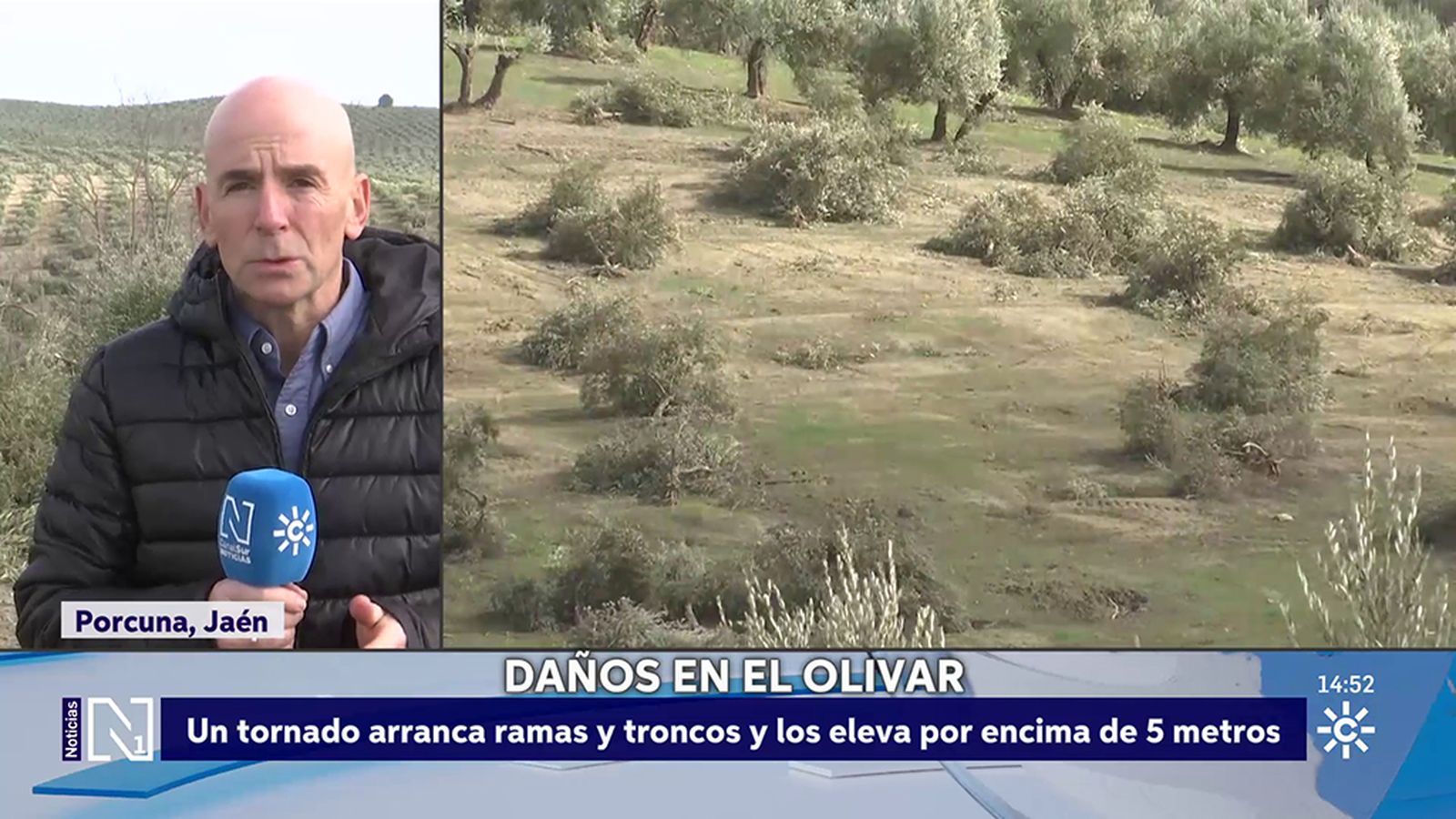 Un tornado arranca olivos en Porcuna