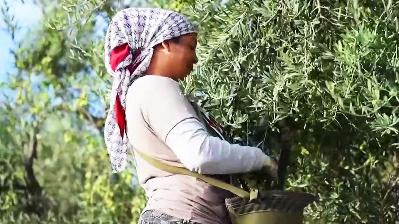 'Del campo a la mesa' una filosofía de consumo en expansión