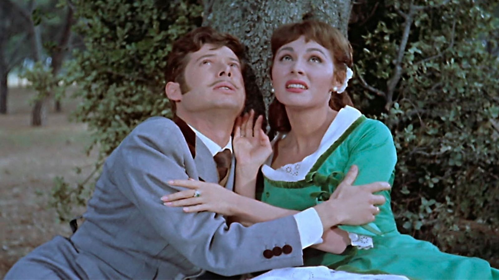 17_cine_donde_vas_alfonso