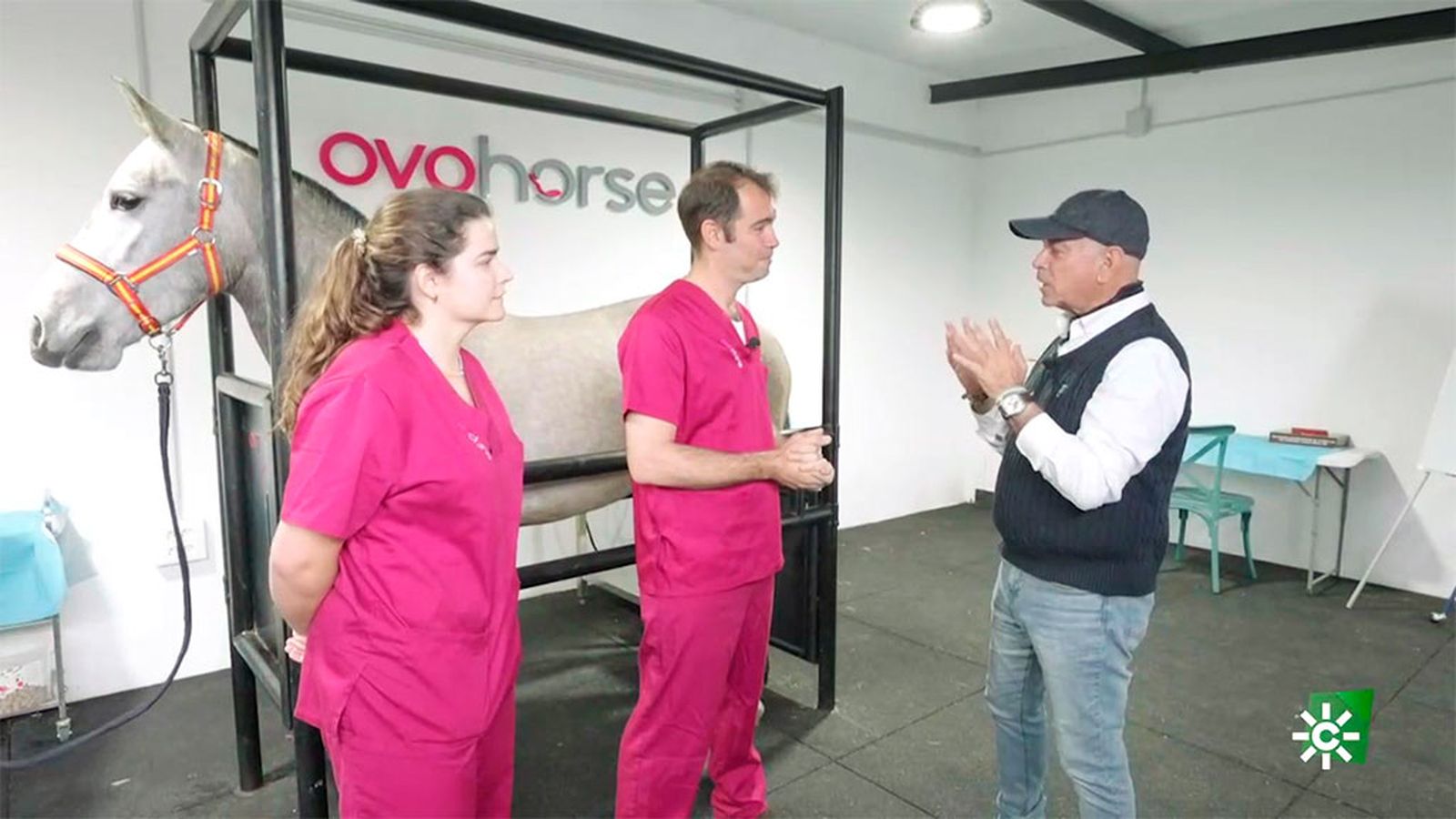 Nos adentramos en el mundo de la clonación equina