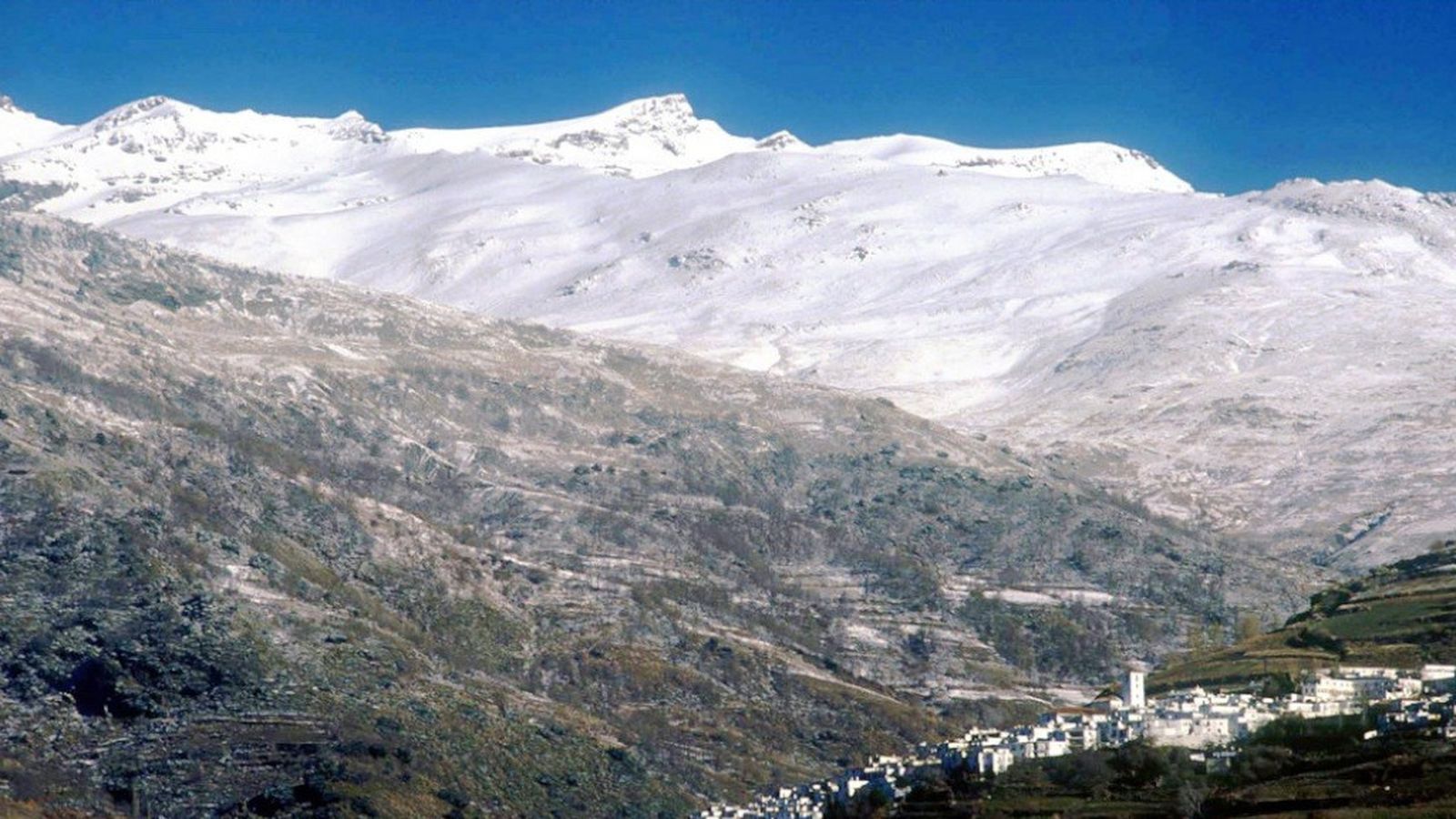 terque
