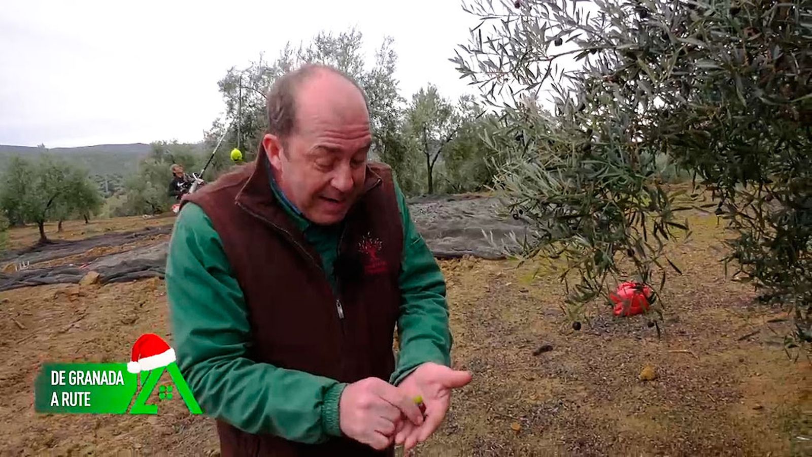 En Rute ha creado su propia almazara donde productores locales obtienen aceite para autoconsumo