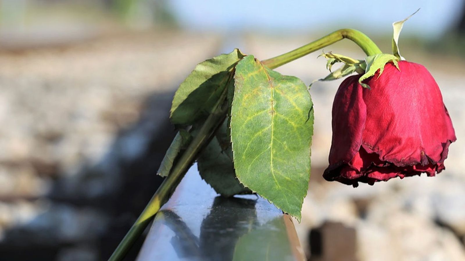 Tapa día del suicidio