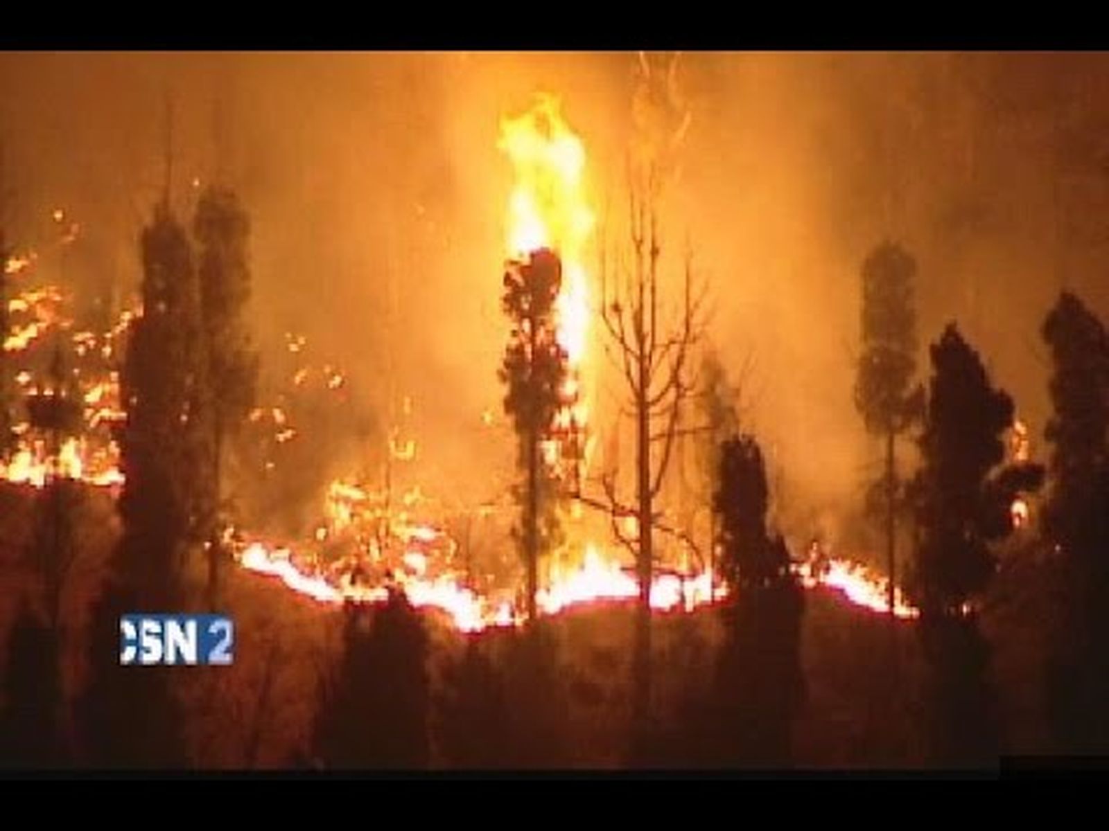 Cumbre Vieja en la isla de La Palma: incendio forestal | Parque Natural de Cumbre Vieja (Canarias)