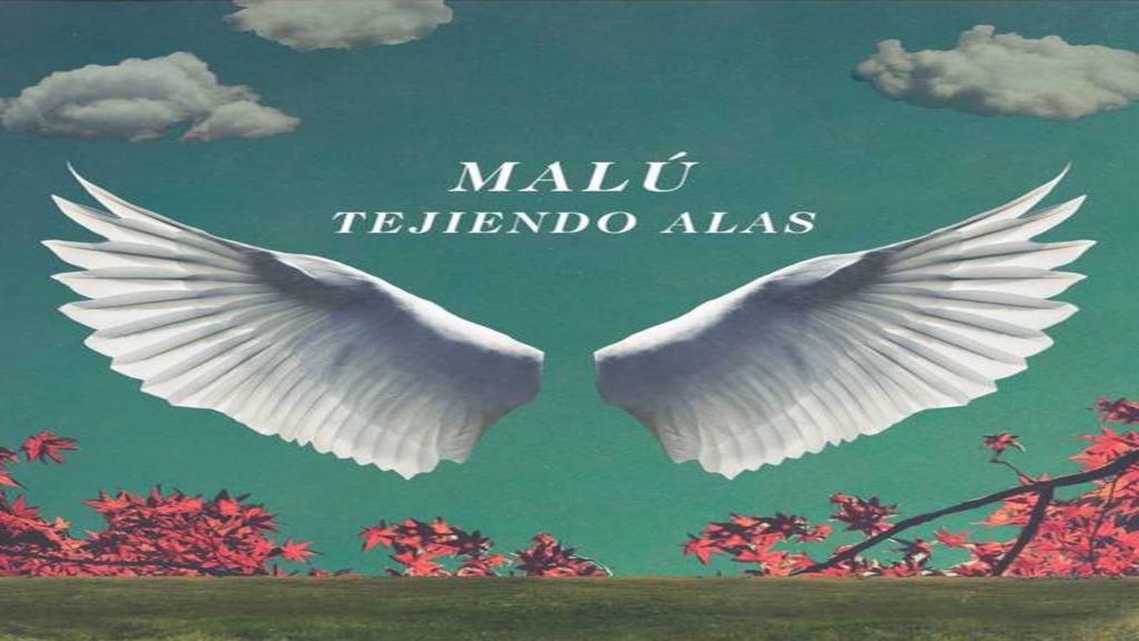Malu Tejiendo alas