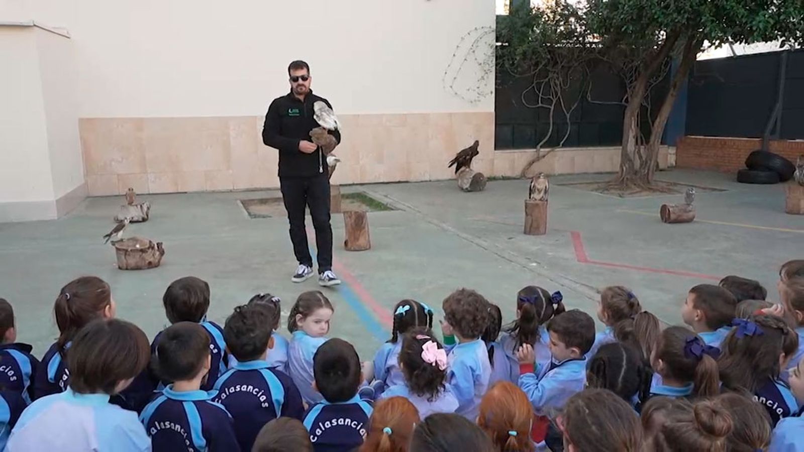 Emilio, un buitre que visita colegios para concienciar a los más pequeños sobre las aves rapaces