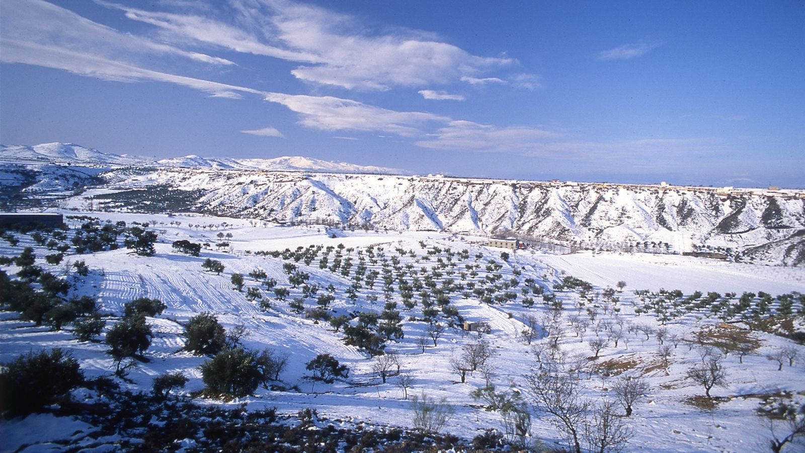 Andalucia es Naturaleza, 2 marzo