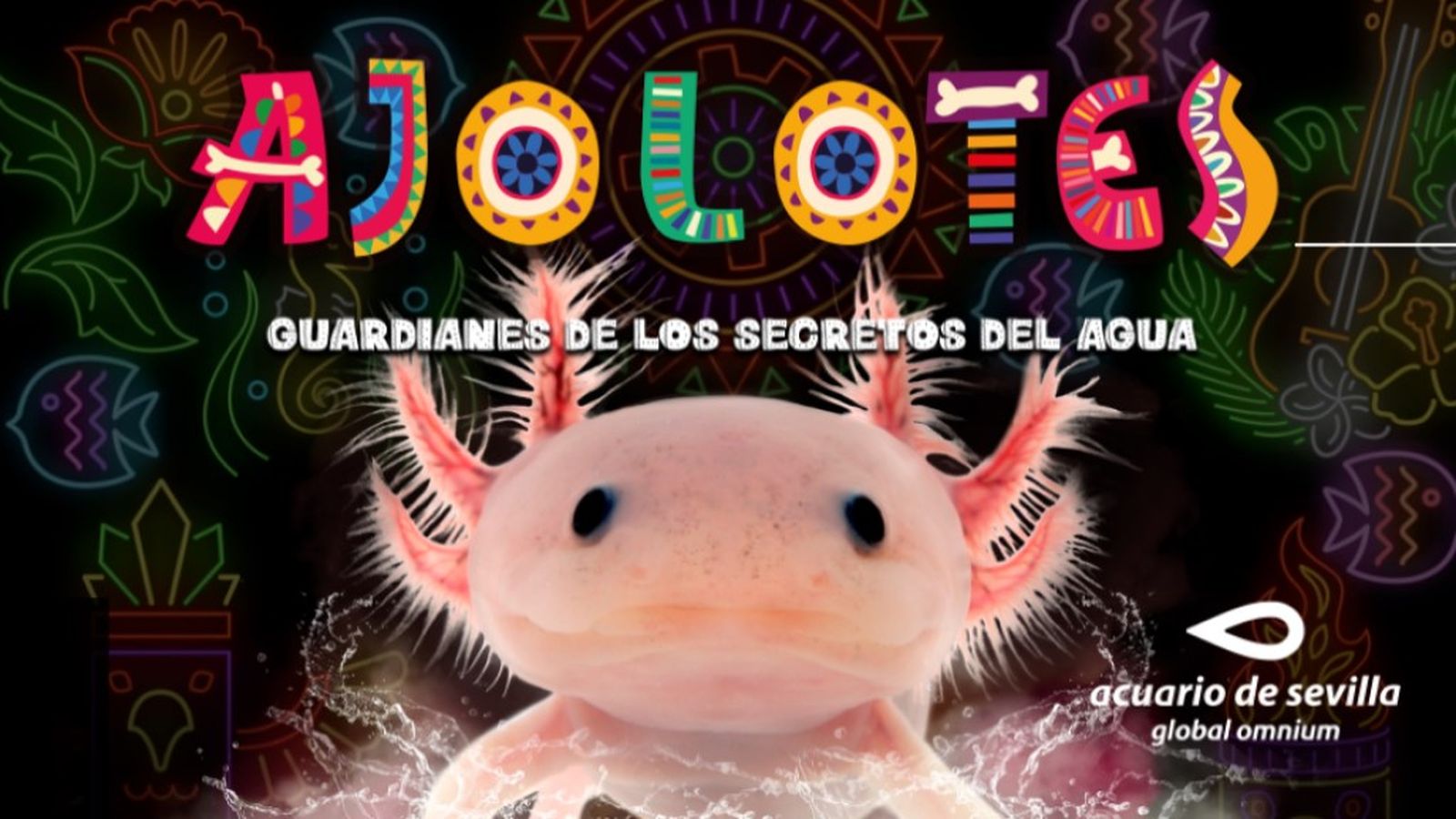 ajolote