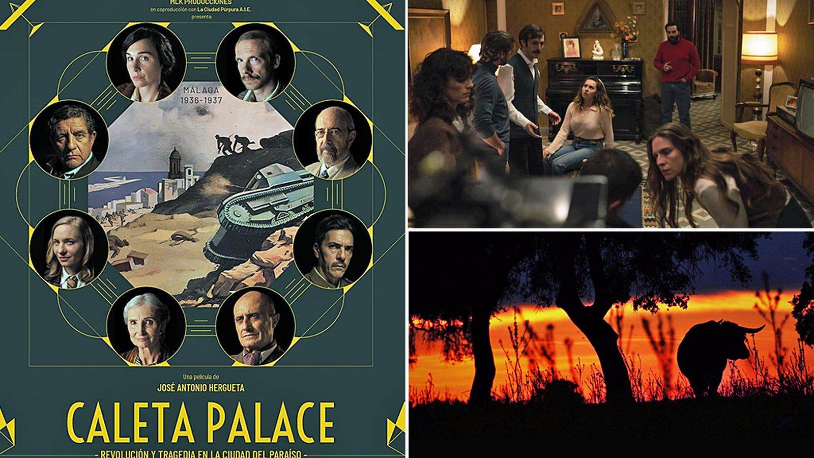 COMUNICACIÓN MONTAJE PELÍCULAS MÁLAGA CANNES
