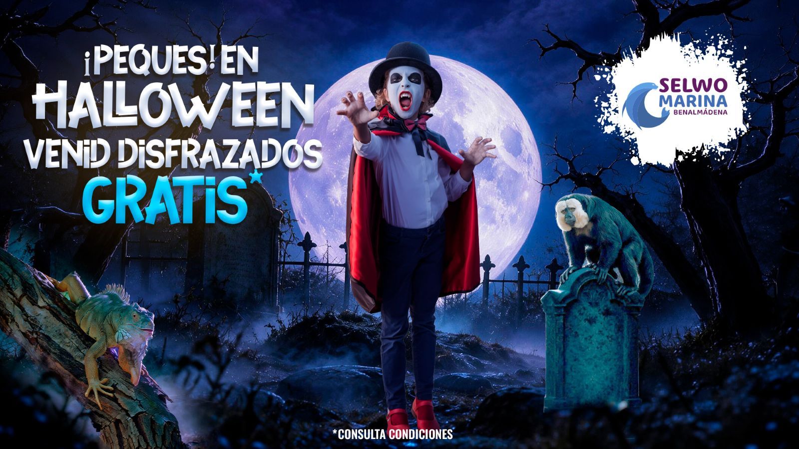 Selwo Marina Halloween 2026