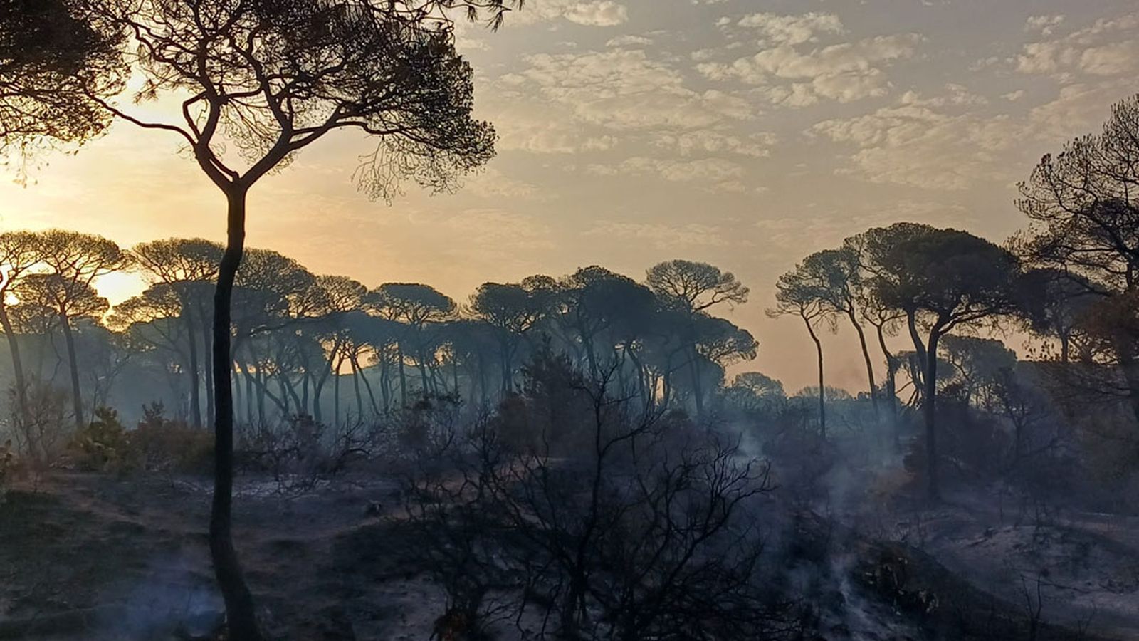 incendio Puerto Real
