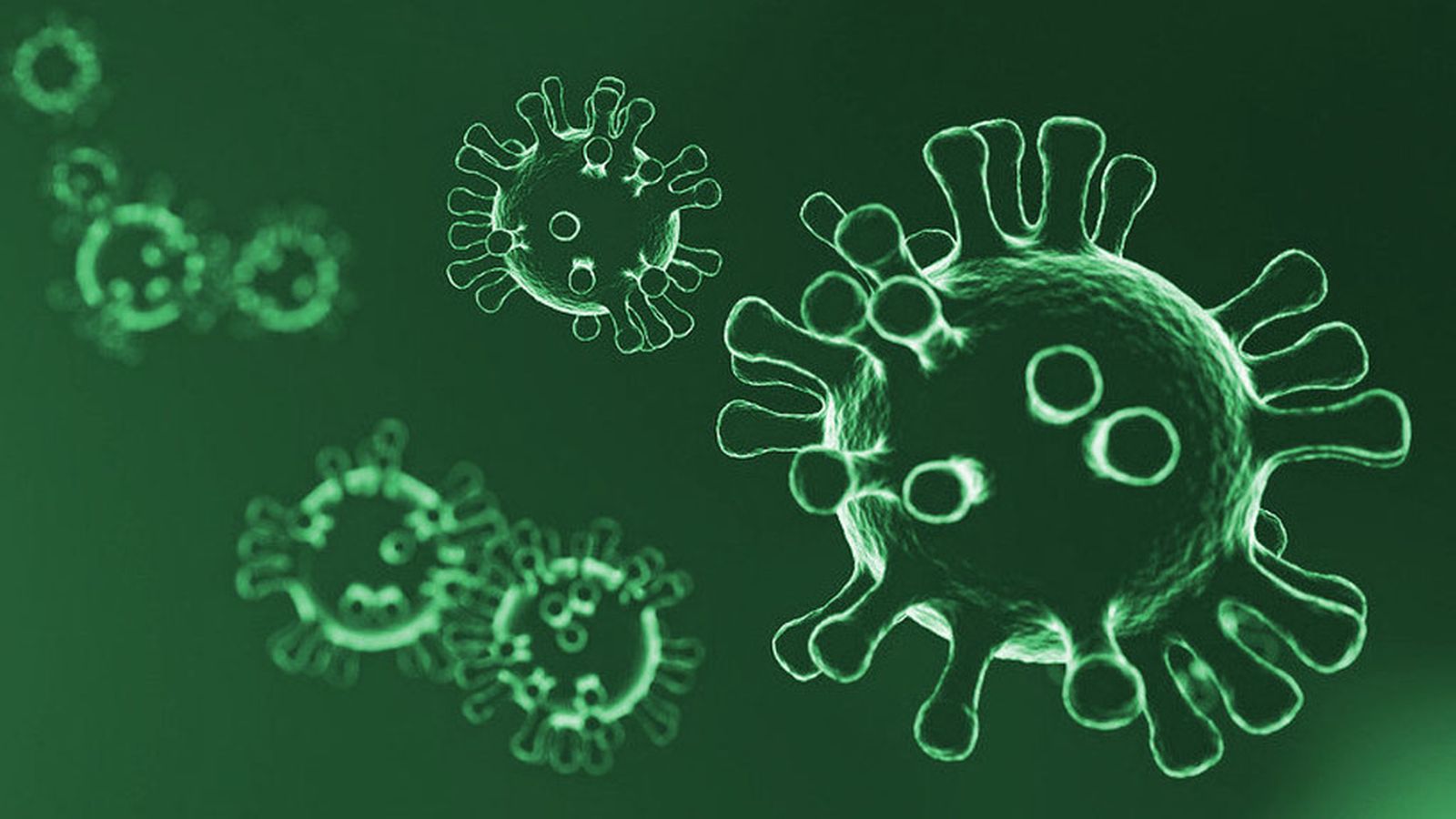 foto coronavirus