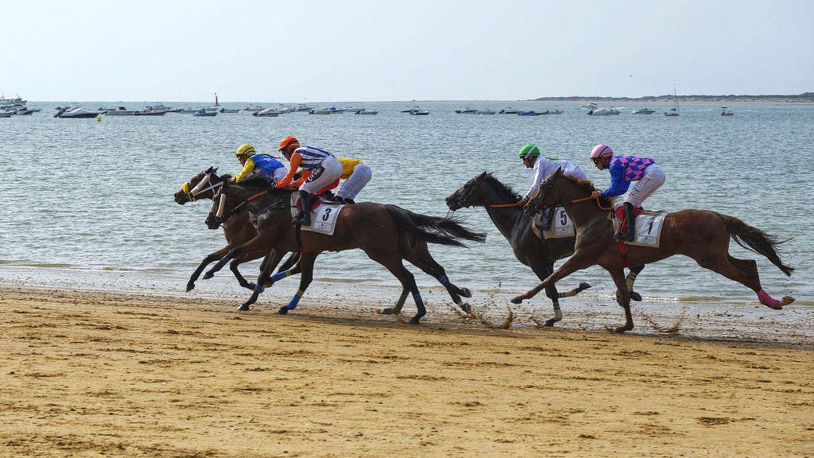 Comunicación Carreras de Caballos de Sanlúcar 1