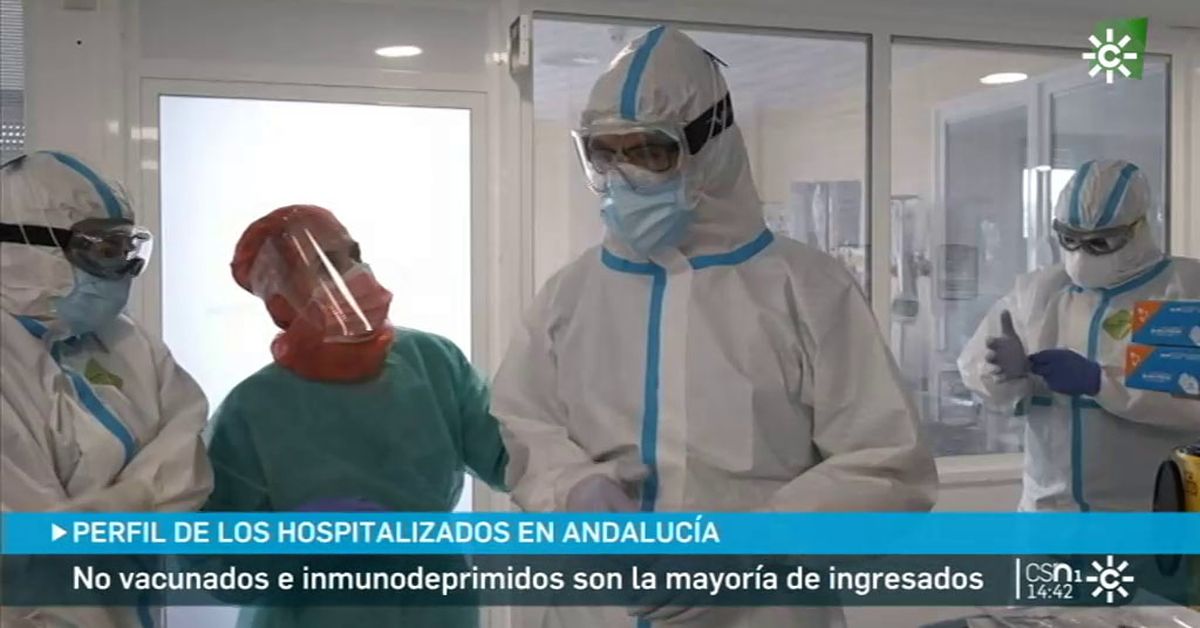 www.canalsur.es