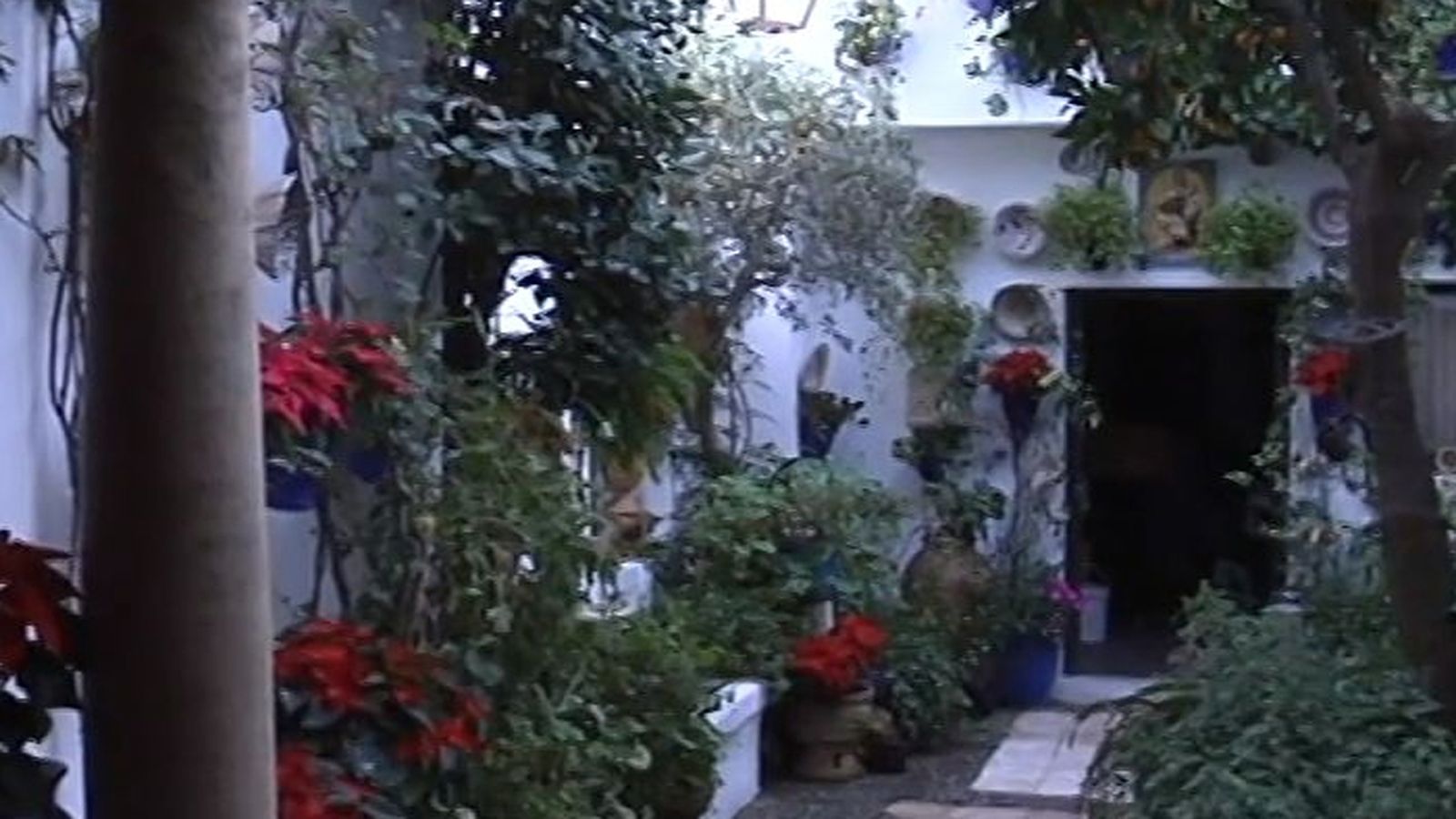 patios 1024