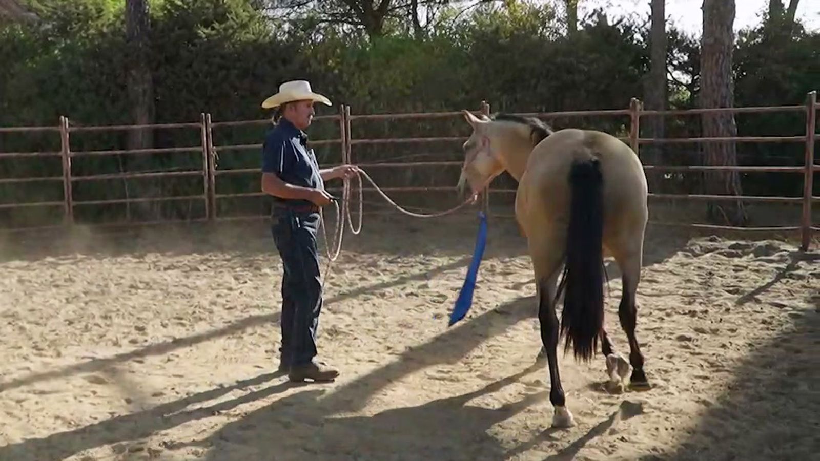 Doma etológica, el arte de comprender y respetar el comportamiento del caballo