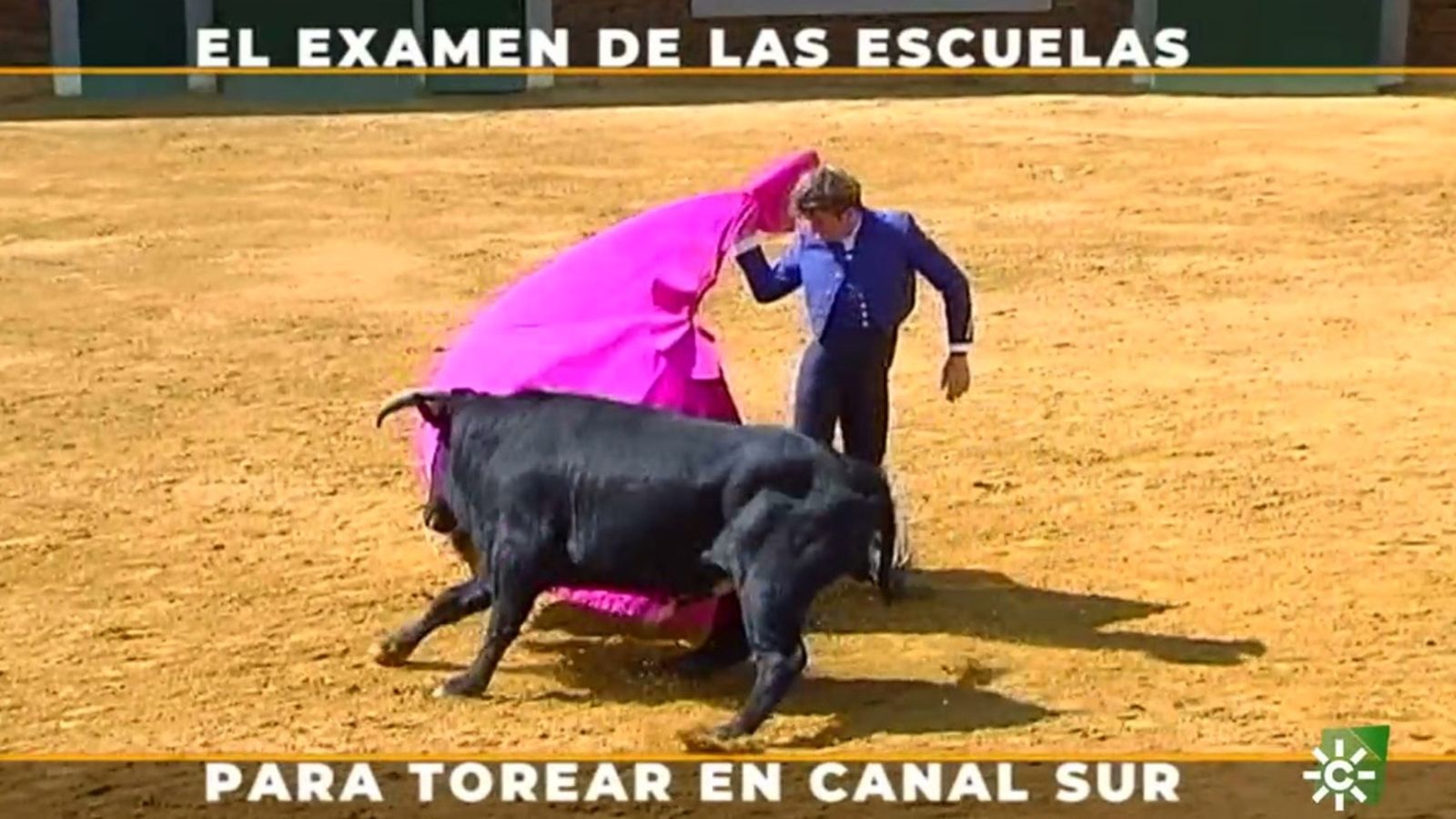Toros para todos 15/05/22