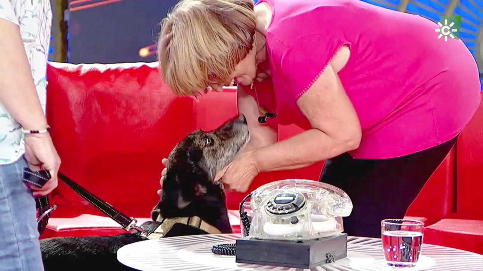 El trabajo de Teresa en una protectora salva la vida a miles de perros