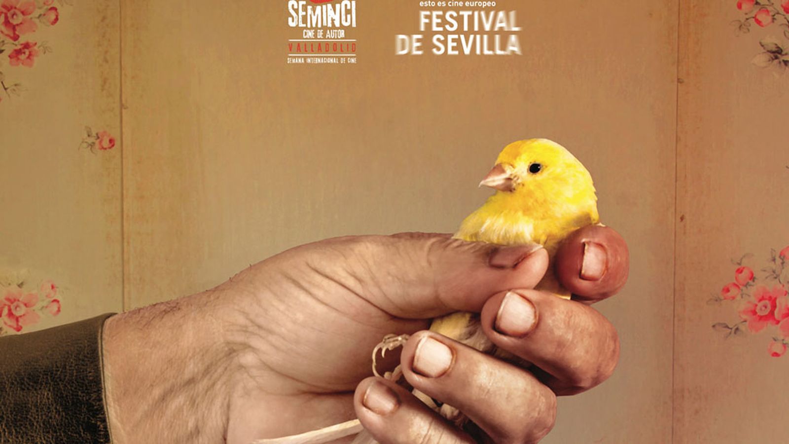 Tapa Cine Bellido