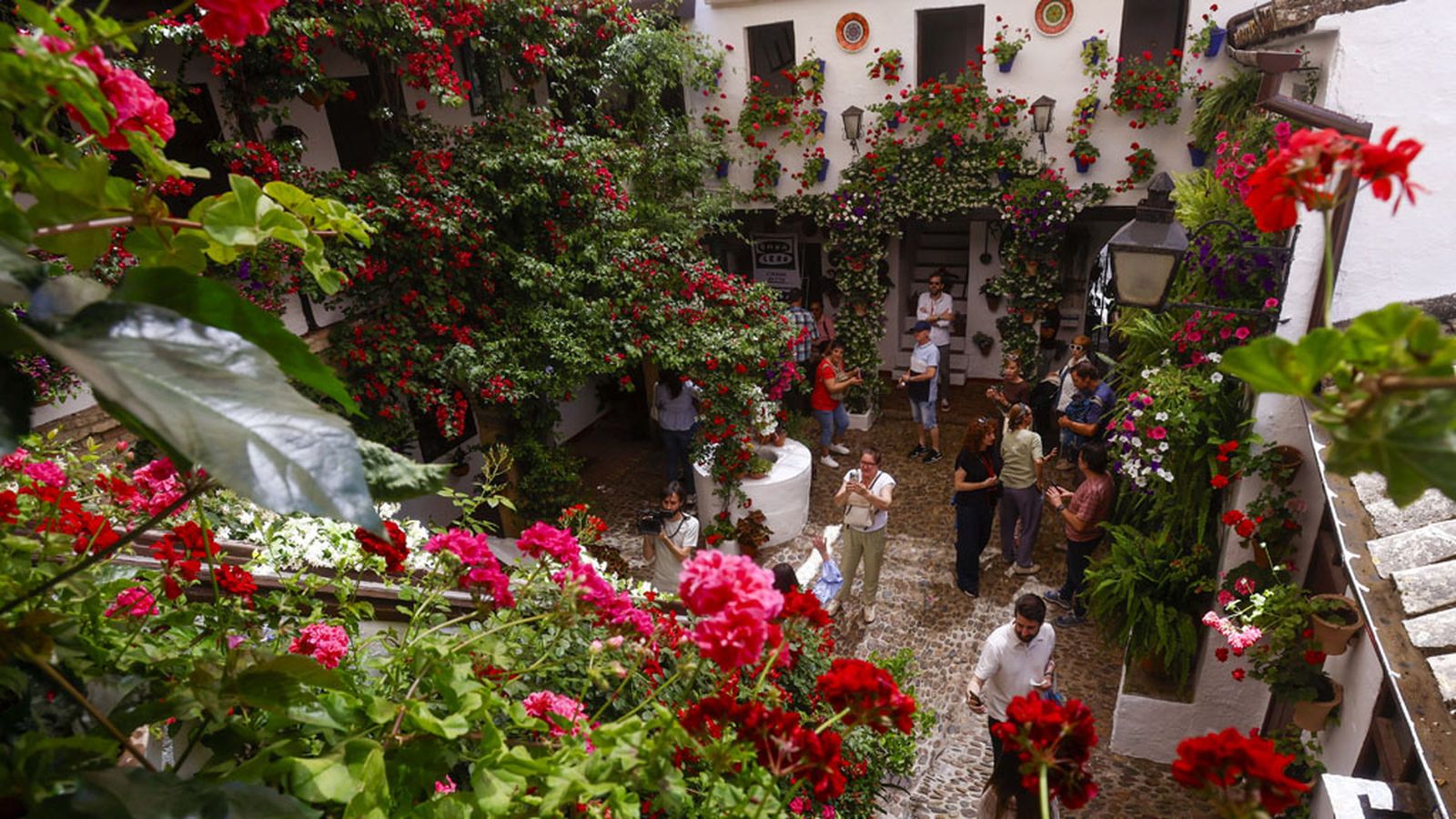 NUEVA EDICION DE LOS PATIOS DE CORDOBA